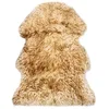 Image de Tapis en peau de mouton 60 x 90 cm Mélange de marron