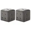 Image de vidaXL 2 pcs Poufs Gris 30 x 30 x 30 cm Tissu velours