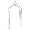 Image de vidaXL Voûte de Jardin Pergola Arche à Rosiers Arceau Plantes Grimpantes Lys Lierre Patio Terrasse Extérieur Vert Foncé 142x37x275 cm Fer