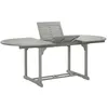 Image de vidaXL Table de Jardin Table de Salle à Manger Dîner Patio Terrasse Extérieur Cuisine Extensible Gris 200x100x75 cm Bois d'Acacia Massif