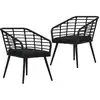 Image de vidaXL Chaises de jardin lot de 2 avec coussins Résine tressée Noir