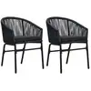 Image de vidaXL Chaises de jardin lot de 2 Noir Rotin PE