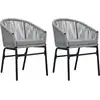 Image de vidaXL Chaises de jardin lot de 2 Anthracite Rotin PE