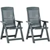 Image de vidaXL Chaises inclinables de jardin lot de 2 Plastique Vert