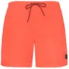 Image de Protest Short De Bain Faster