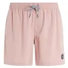 Image de Protest Men Davey XL