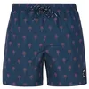 Image de Protest PRTALVIS Boardshort 2024 night sky navy, S