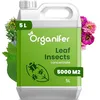 Image de Concentré Pour Feuilles De Plantes   Insectes - 5 Litres - 5000 M2 - Catégorie Biostimulant   Pour Plantes D'Intérieur   Pour Jardin, Rosiers, Fleurs, Légumes, Fruits - Organifer