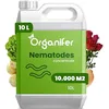 Image de Concentré De Nématodes - 10 Litres Pour 10 000 M2 - Produit Pour Plantes De Jardin - Concentré Pour Plantes Saines - Entretien Du Jardin - Potager - Organifer