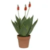Image de Kaemingk Agave Fleurie Artificielle - Nos Envies Déco