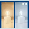 Image de WiZ A60 ampoule filament LED WiFi E27 6,3 W RGBW