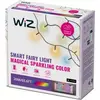 Image de Guirlande lumineuse WIZ Wi-Fi LED Fairly Light Type-C