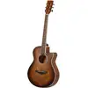 Image de Fazley W55-COL-BR-EQ ColourTune guitare électro-acoustique folk marron