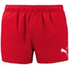 Image de Puma 701224140 Swimming Shorts 2XL