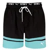 Image de PUMA Colour Block, Shorts pour des Hommes, Black,