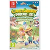 Image de Castaway Paradise Destination Vacances Nintendo Switch en occasion ou reconditionné