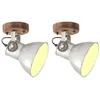 Image de Lampe murale industrielle plafonnier 2 pcs Argenté 20x25 cm E27