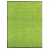 Image de Paillasson lavable Vert 90x120 cm