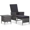 Image de vidaXL Salon de Jardin 2 pcs avec Coussins Résine tressée Gris