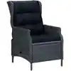 Image de vidaXL Chaise inclinable de jardin coussins Résine tressée Gris foncé