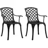 Image de vidaXL Chaises de jardin lot de 2 Aluminium coulé Noir