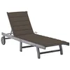 Image de vidaXL Chaise Longue de Jardin avec Coussin Gris Bois d'acacia Solide