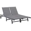 Image de vidaXL Chaise longue de jardin 2 places avec coussin Gris Acacia