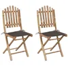 Image de Chaises pliables de jardin lot de 2 avec coussins Bambou