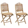Image de Chaises pliables de jardin lot de 2 avec coussins Bambou