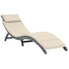 Image de vidaXL Chaise Longue avec Coussin Gris Bois d'acacia Solide