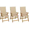 Image de vidaXL Chaises pliables de jardin lot de 3 avec coussins Bois d'acacia