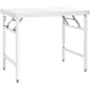 Image de vidaXL Table de travail pliable de cuisine 100x60x80 cm Inox