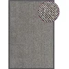 Image de vidaXL Paillasson Touffeté Antidérapant Tapis de Porte Paillasson de Bienvenue Tapis de Sol Entrée Vestiaire Intérieur 80x120 cm Marron Clair