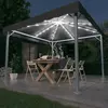 Image de vidaXL Tonnelle avec guirlande lumineuse LED 300x300 cm Anthracite
