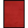 Image de vidaXL Paillasson Rouge 60x80 cm