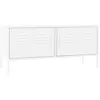 Image de Meuble TV Blanc 105x35x50 cm Acier