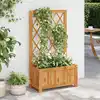 Image de vidaXL Lit surélevé de jardin avec treillis Bois massif d'acacia