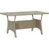 Image de vidaXL Table de jardin Gris 120x70x66 cm Résine tressée