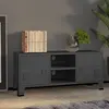 Image de vidaXL Meuble TV industriel Anthracite 105x35x42 cm Métal