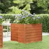 Image de vidaXL Lit surélevé de jardin rouillé 100x100x77 cm acier corten