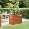 Image de vidaXL Lit surélevé de jardin rouillé 100x40x77 cm acier corten