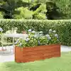 Image de vidaXL Lit surélevé de jardin rouillé 160x40x45 cm acier corten