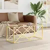Image de vidaXL Table basse 110x45x45 cm acier inoxydable et verre