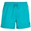 Image de Short de bain Jack O'Neill Vert 14'' | Beetle Juice