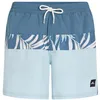 Image de O´Neill Cali Block 15´´ Swimming Shorts L