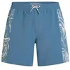 Image de O´Neill O´Riginals Side Panel 16´´ Swimming Shorts S