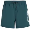 Image de O´Neill Cali 16´´ Swimming Shorts S