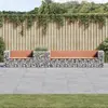 Image de vidaXL Banc de jardin avec panier en gabion bois massif de douglas