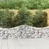 Image de vidaXL Paniers à gabions arqués 2 pcs 200x30x60/80 cm Fer galvanisé