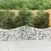 Image de vidaXL Paniers à gabions arqués 3 pcs 200x30x60/80 cm Fer galvanisé